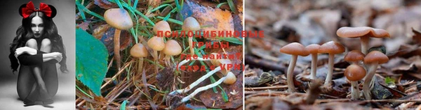 метамфетамин Аркадак
