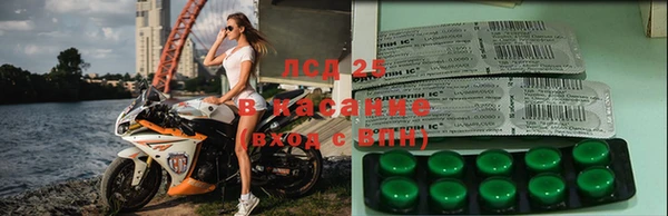 spice Алзамай