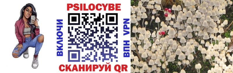 Псилоцибиновые грибы ЛСД  где купить наркоту  Ак-Довурак 